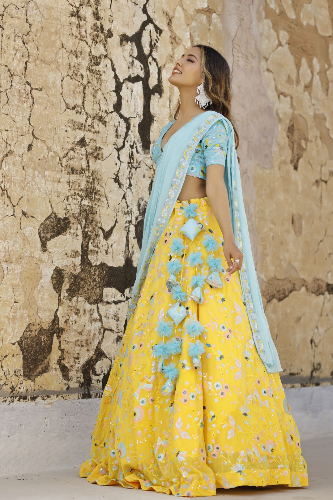 Divi Bird Detailing Lehenga Set